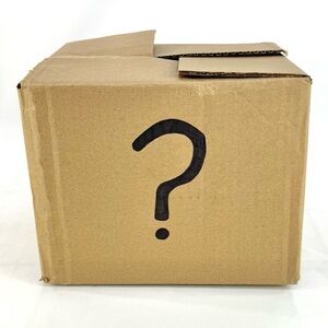 All Torrid Item 4X witchy themed mystery box